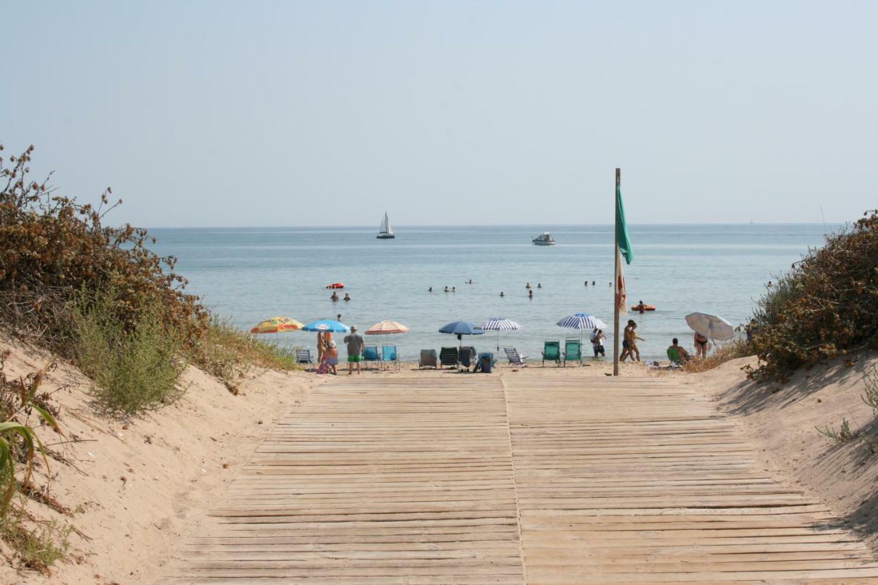 Oliva Holidays 1 Kültér fotó